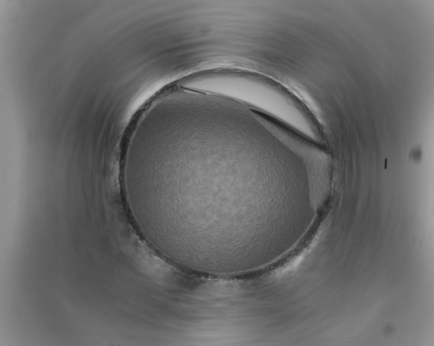 X0000090990877200708161915