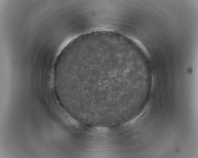 X0000090990878200708161915