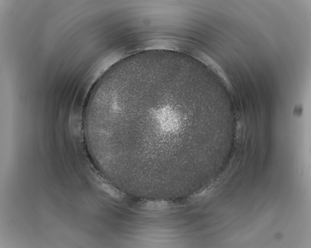 X0000090990882200708161915