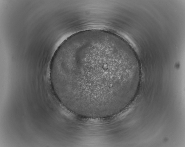 X0000090990883200708161915