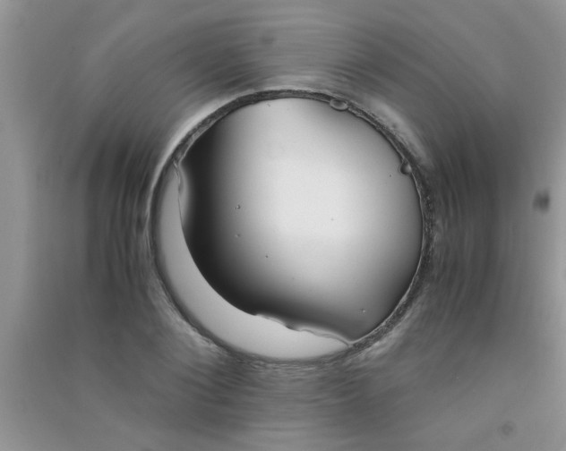 X0000090990884200708161915