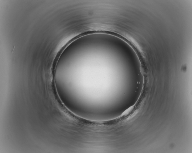 X0000090990885200708161915