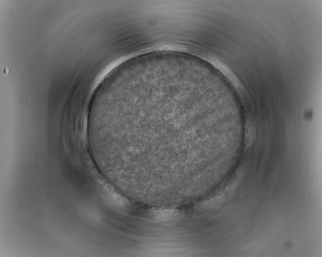 X0000090990886200708161914