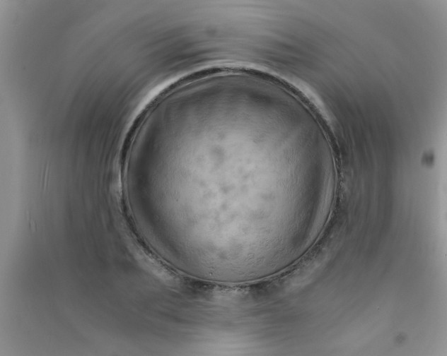 X0000090990887200708161914
