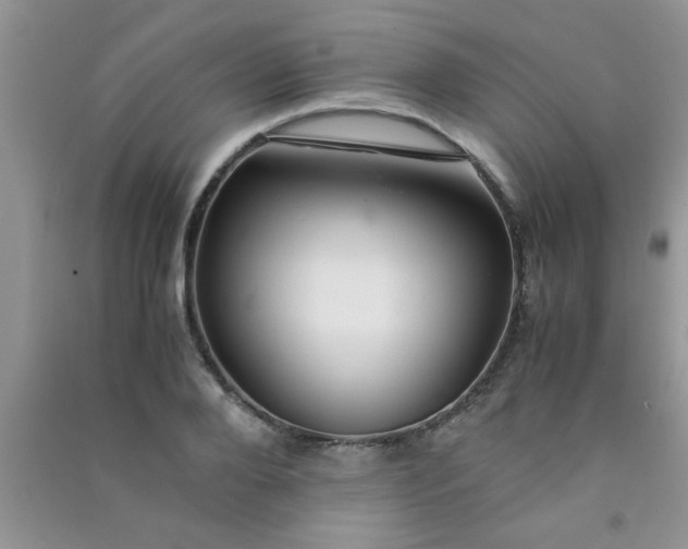 X0000090990888200708161914