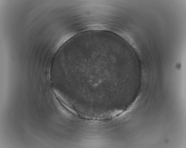 X0000090990889200708161914