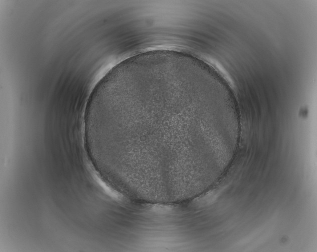 X0000090990890200708161914
