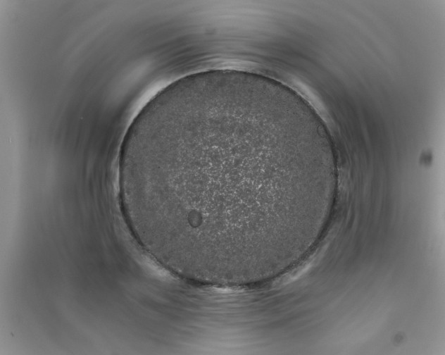 X0000090990891200708161914