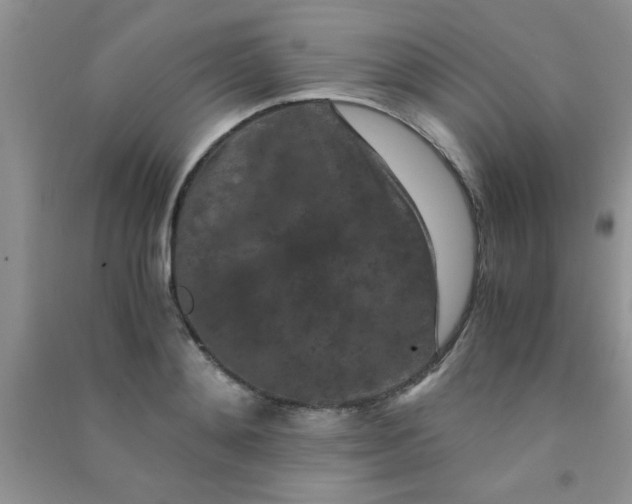 X0000090990892200708161914