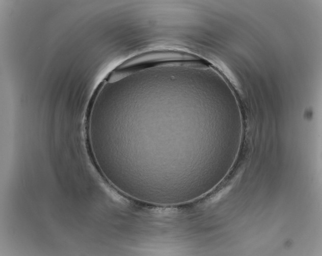 X0000090990893200708161914