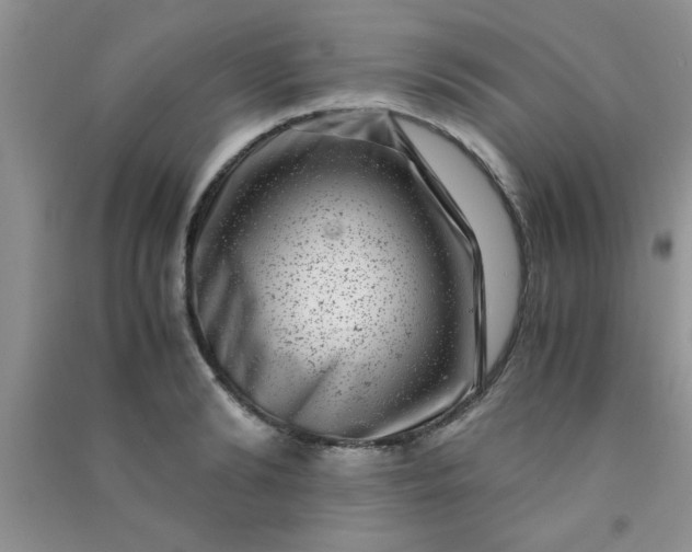 X0000090990894200708161914
