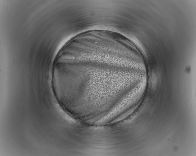 X0000090990896200708161914
