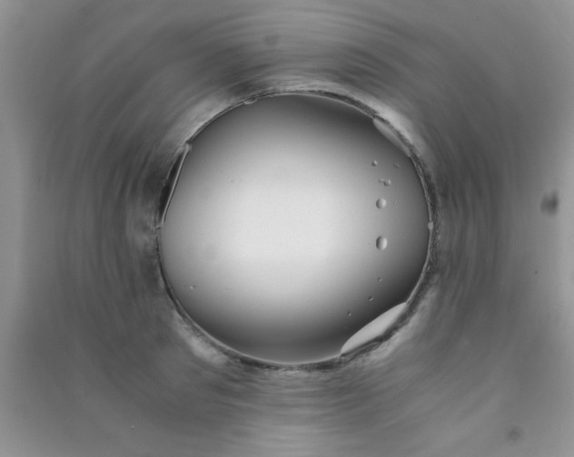 X0000090990897200708161914