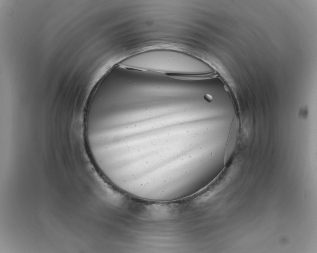 X0000090990898200708161914