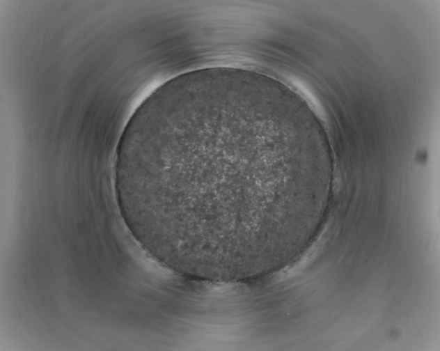 X0000090990899200708161914