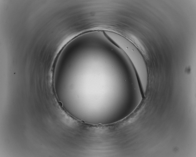 X0000090990900200708161914