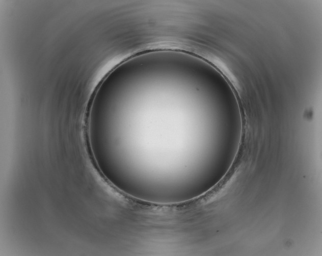 X0000090990901200708161914
