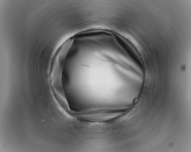 X0000090990902200708161914