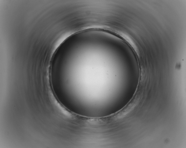 X0000090990906200708161914