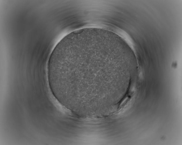 X0000090990907200708161914