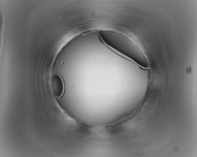 X0000090990909200708161914