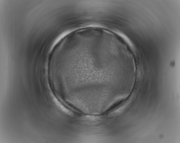 X0000090990910200708161914
