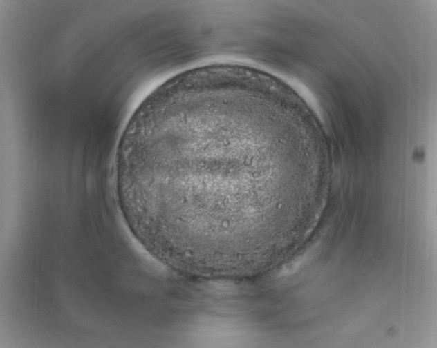 X0000090990911200708161914