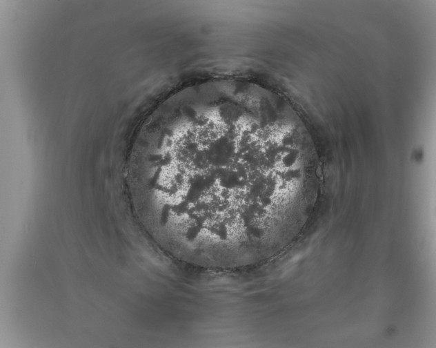 X0000090990913200708161913
