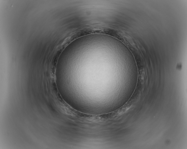 X0000090990916200708161913