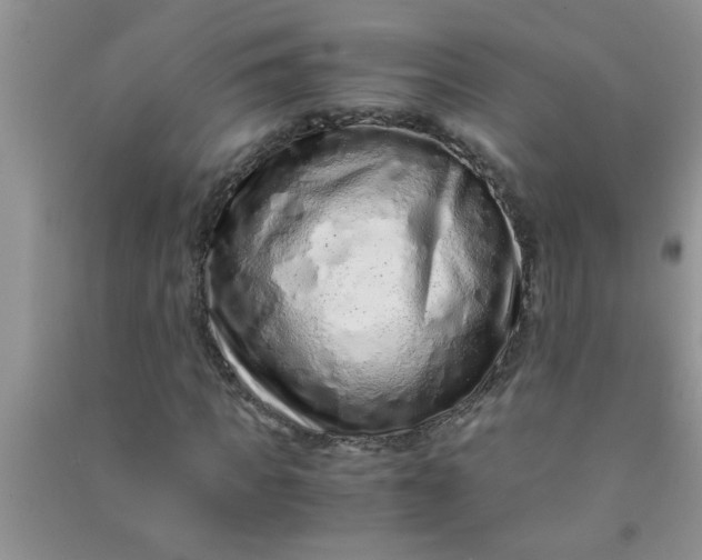 X0000090990917200708161913