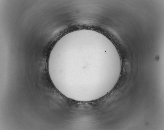 X0000090990918200708161913
