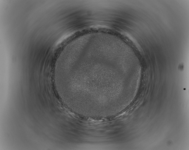 X0000090990919200708161913