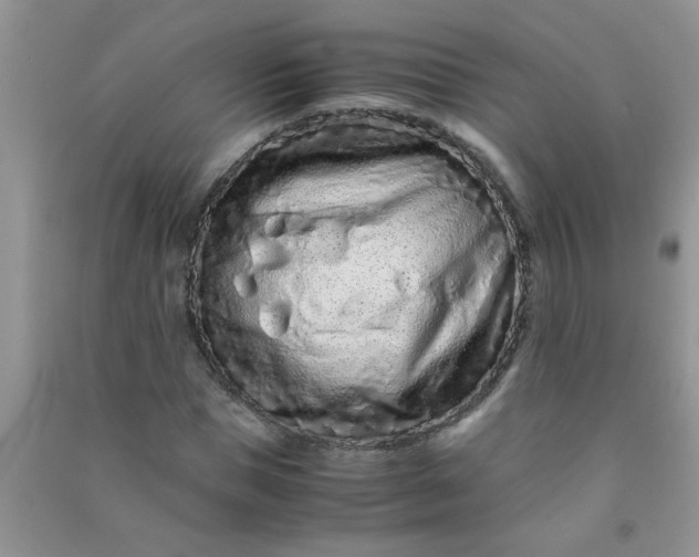 X0000090990921200708161913
