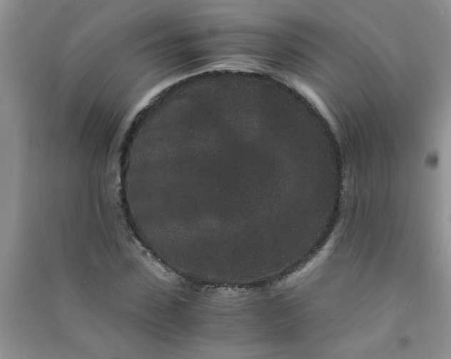 X0000090990923200708161913