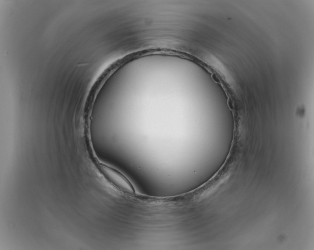 X0000090990924200708161913