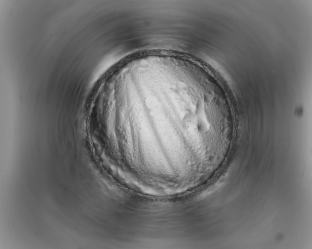 X0000090990925200708161913