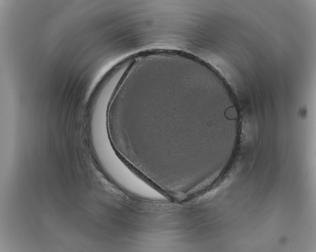 X0000090990926200708161913