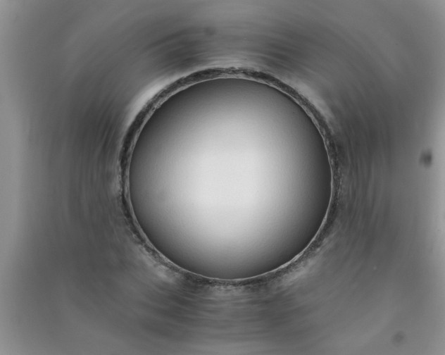 X0000090990927200708161913