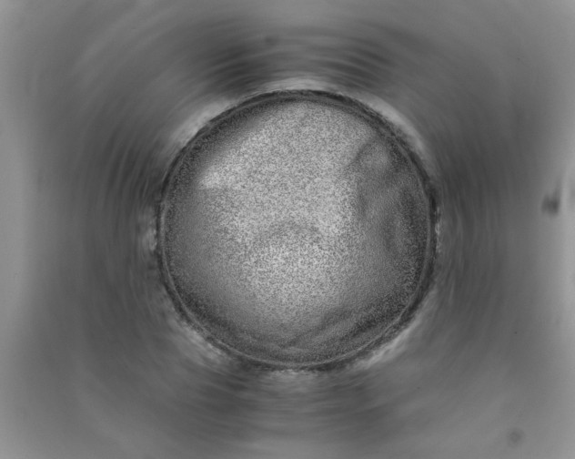X0000090990929200708161913