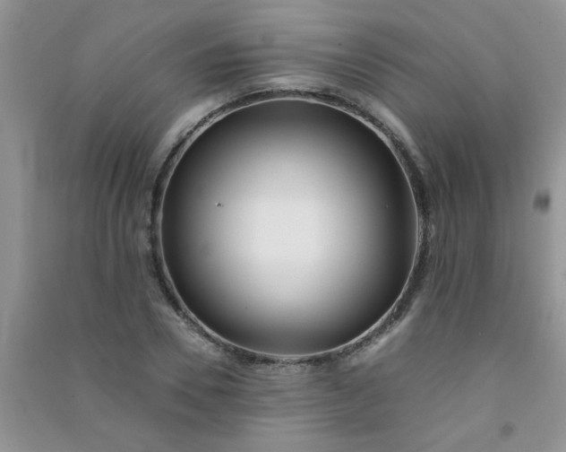 X0000090990930200708161913