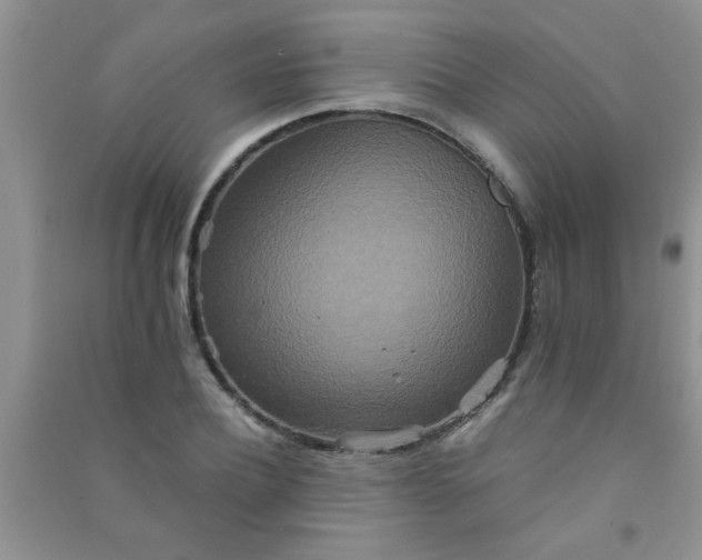 X0000090990932200708161913