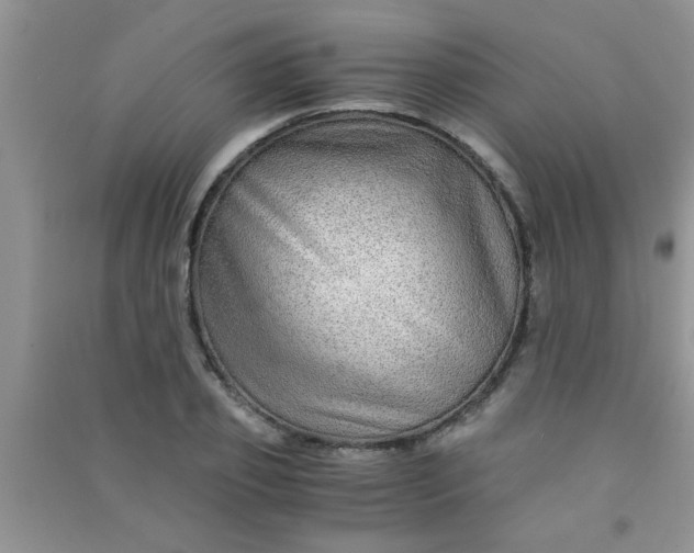 X0000090990933200708161913