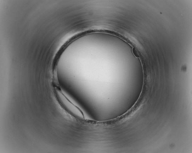 X0000090990934200708161913