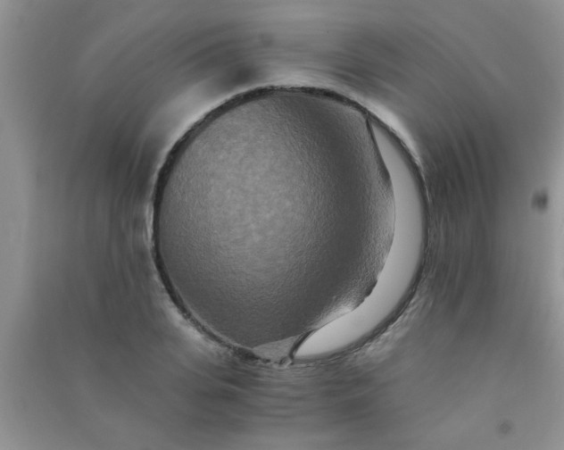 X0000090990935200708161913