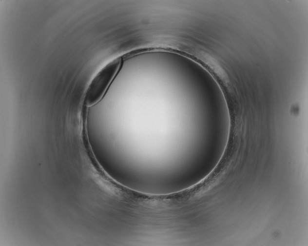X0000090990936200708161914