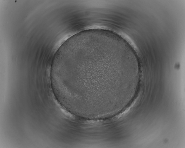 X0000090990937200708161914