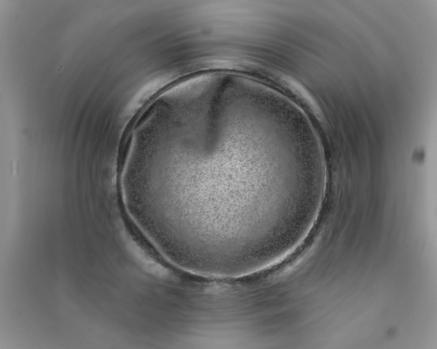 X0000090990938200708161914