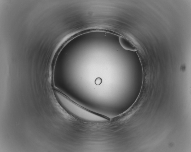 X0000090990940200708161914