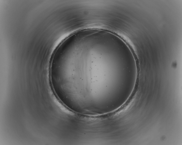 X0000090990941200708161914