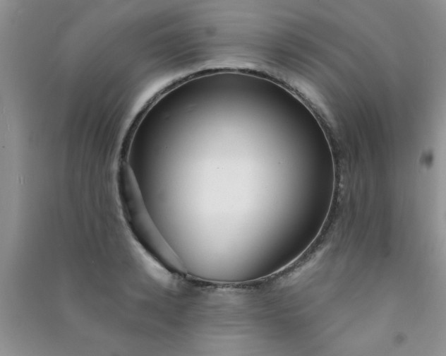X0000090990942200708161914